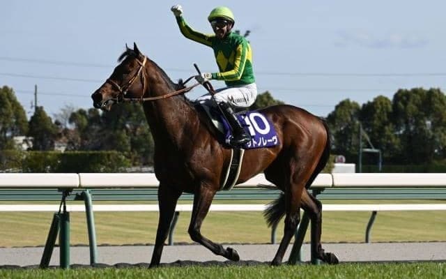 【スプリンターズS予想オッズ】サトノレーヴが予想1番人気