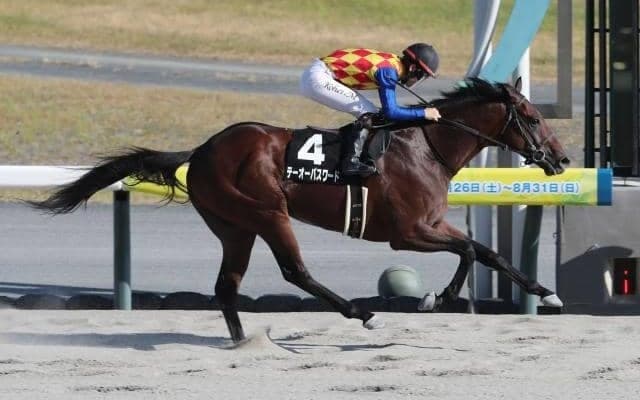 【シリウスS予想オッズ】テーオーパスワードが予想1番人気