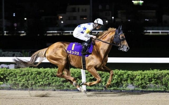 【浦和・オーバルスプリント】張田「展開一つですね」船橋のムエックスは3着まで