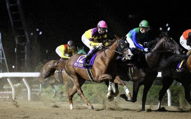 【浦和・オーバルスプリント】武豊「スピードの乗りも悪かった」ガビーズシスターは4着