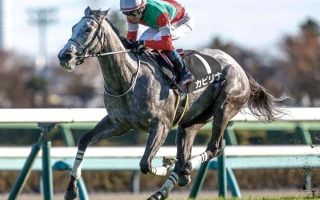 【スプリンターズS予想】伏兵の台頭が目立つレース AIは新興勢力の中から魅力的な一頭を指名