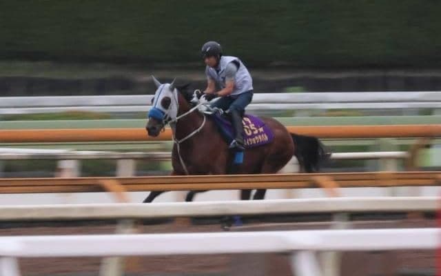 メイショウタバル、天皇賞(秋)追い切り速報/栗東トレセンニュース