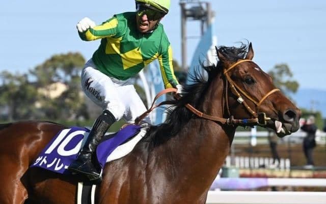 【スプリンターズS・調教後馬体重】サトノレーヴは530kg、ナムラクレアは496kg