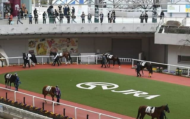 「ウマ娘」藤田晋オーナーの3.4億円馬 イエッサーが武豊騎手で初陣だ