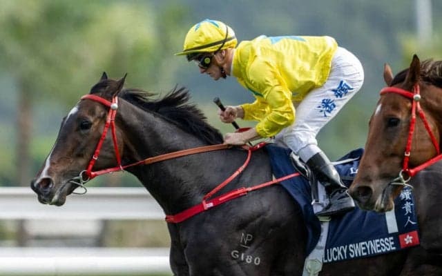 【スプリンターズS】出走馬調教後の馬体重…香港ラッキースワイネスは542kg