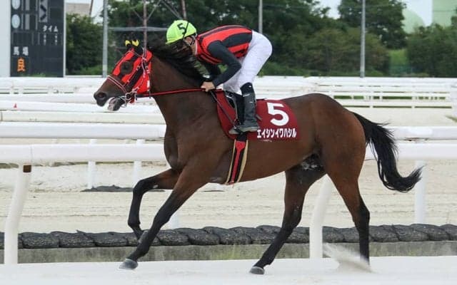 【兵庫ジュベナイルカップ】エイシンイワハシルが接戦制す…リーガルタイムは不利で2着