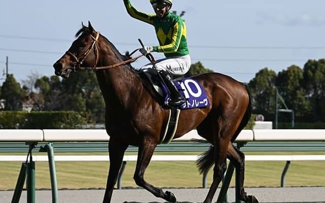 【スプリンターズS枠順確定】サトノレーヴは4枠7番、ナムラクレアは3枠6番