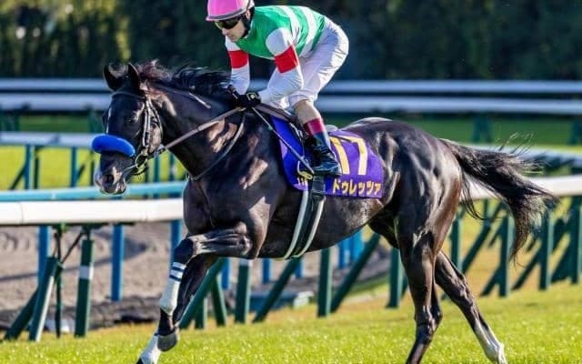 【京都大賞典想定馬・騎手】ドゥレッツァ、ショウナンラプンタなど19頭