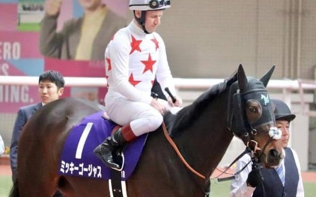 【ポートアイランドS】ミッキー軍団ゆかりの良血 ミッキーゴージャスが1年3か月ぶりの復帰戦だ