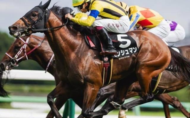 阪神芝はディープ系が優勢 道頓堀Sはモンシュマンで好配狙いだ