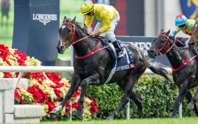 【スプリンターズS】香港馬ラッキースワイネスは5枠10番へ