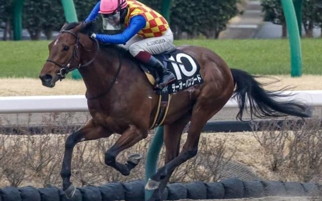 【今日の注目ポイント】シリウスSでテーオーパスワードが3連勝を狙う