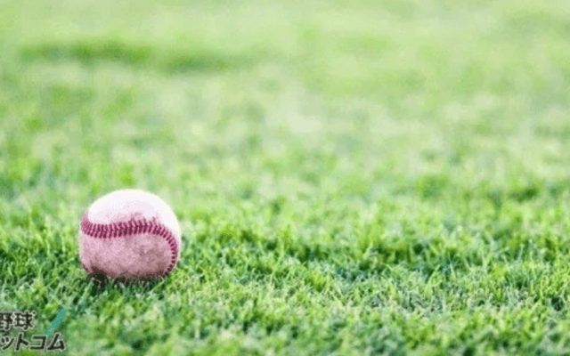 川端慎吾が現役引退...ヤクルト一筋20年の男への労いの声でSNSトレンド入り！指導者希望の声も？！