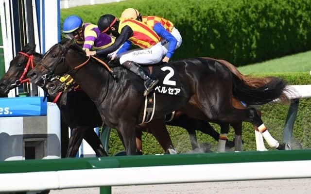 【ヤマボウシ賞結果】ペルセアが接戦を制しデビュー2連勝