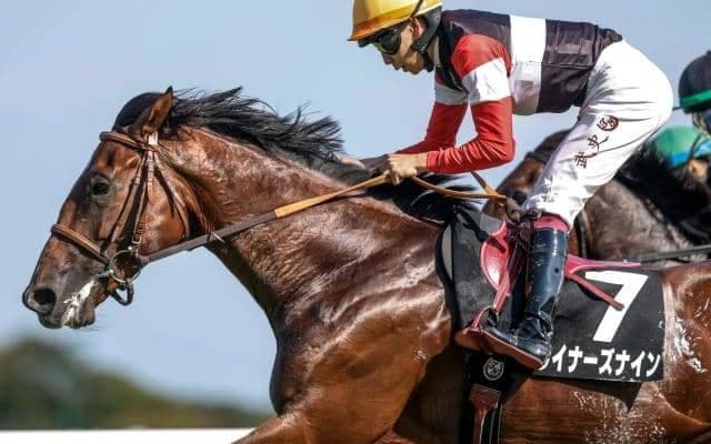 【芙蓉S結果】ウイナーズナインがゴール寸前で差し切り無傷2連勝