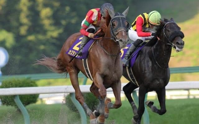 【金沢・白山大賞典枠順】マーキュリーC覇者カズタンジャーは8枠12番