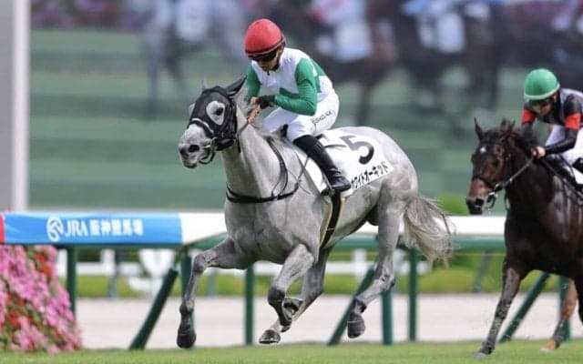 【新馬/阪神4R】キズナ産駒 ホワイトオーキッドがデビューV