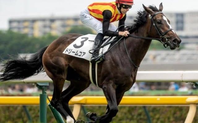 【サフラン賞】母は名牝ノームコア ドリームコアがデビュー2連勝なるか