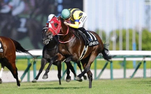 【道頓堀S】良血シュタールヴィントが鮮やかな差し切りV