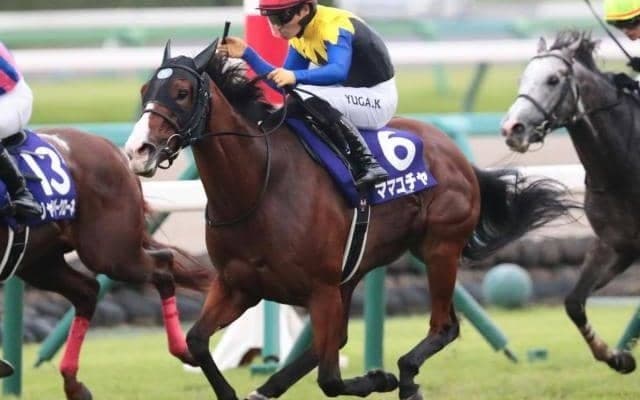 霜降り明星・粗品はママコチャが本命 スプリンターズSは3連単で勝負だ