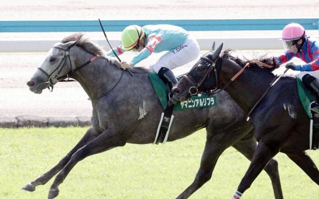 【競馬予想】スプリンターズＳで注目すべき血統は？　レースに縁がある２頭が秋のＧⅠ開幕戦を飾るか