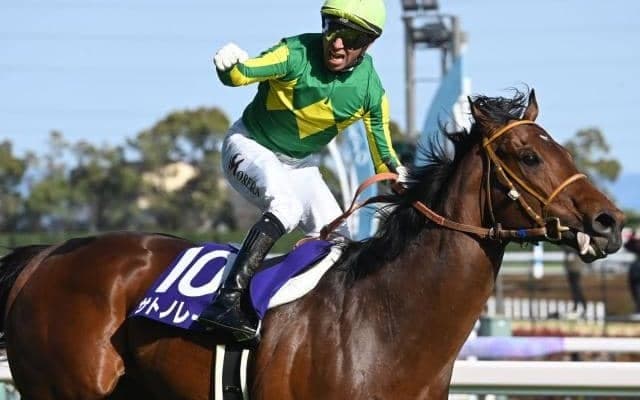 【今日の注目ポイント】秋のGI戦線開幕を告げる電撃6ハロン戦スプリンターズS