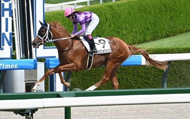 【阪神4R新馬戦結果】オルフェーヴル産駒ジュウリョクピエロが3馬身半差で快勝