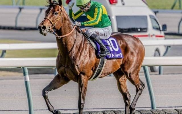 【スプリンターズS・馬体重】サトノレーヴは538kg、ナムラクレアは478kg(±0)