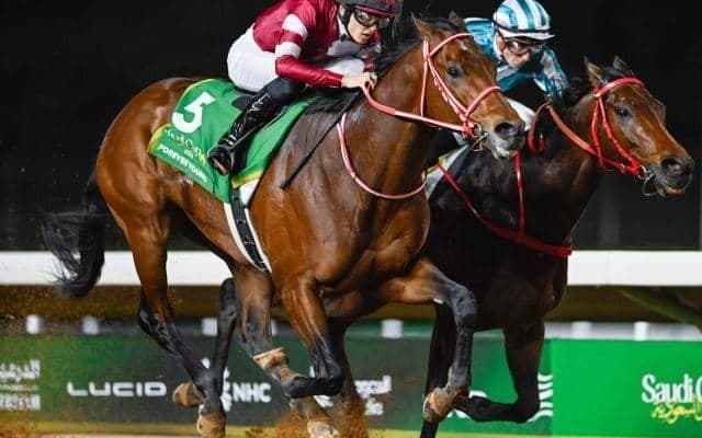 【船橋・日本テレビ盃枠順】秋初戦のフォーエバーヤングは7枠7番、復帰戦のキングズソードは2枠2番