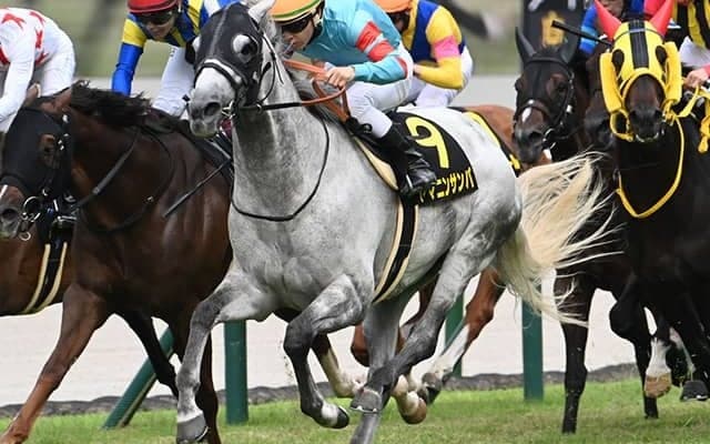 【ポートアイランドS結果】7番人気ヤマニンサンパが差し切り、3年半ぶりの勝利