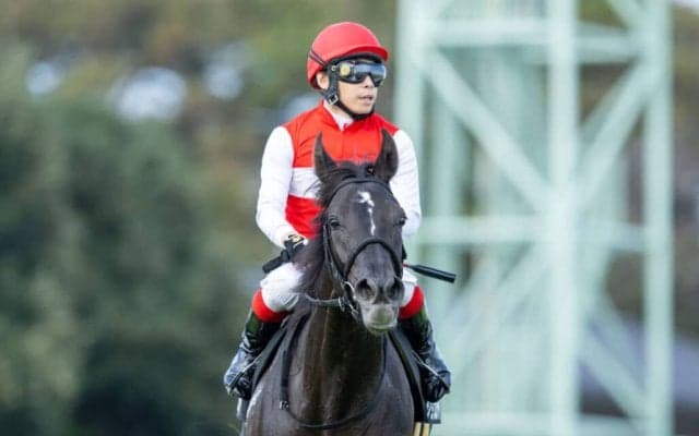 【茨城新聞杯】良血ショウナンサムデイが人気に応える