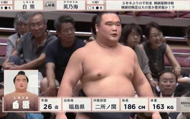 人気力士に“超絶激似”な化粧まわし 悶絶デザインに「本人にそっくり」「とっても似合っている」
