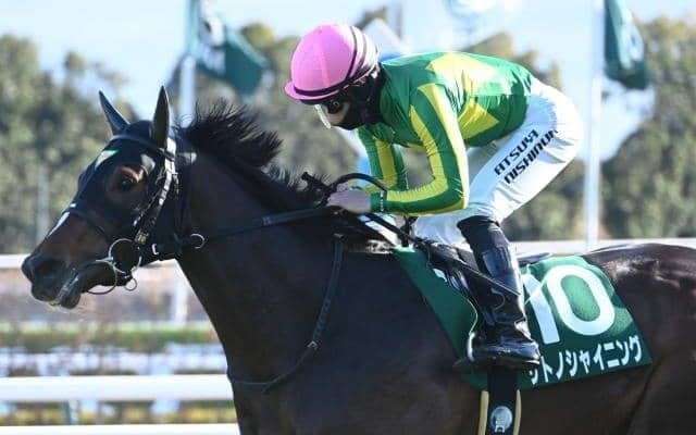 毎日王冠と京都大賞典 海外では凱旋門賞/今週の競馬界の見どころ