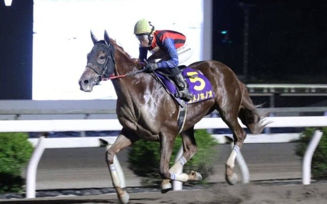 【高知・珊瑚冠賞】ユメノホノオ圧巻の4馬身差V！重賞10勝目