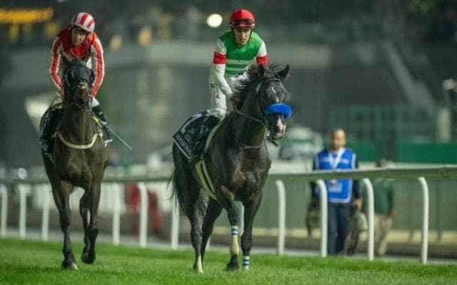 【京都大賞典登録馬】ドゥレッツァ、アドマイヤテラなど19頭