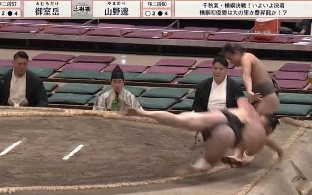 “回転”落下の力士を\"がっちり\"キャッチ あわや顔面キック被弾で衝撃ファインプレー「避けないのかっこいい」