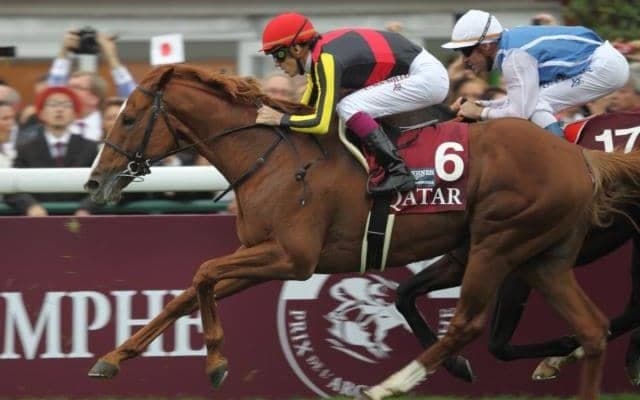 「あなたの思い出の凱旋門賞は？」 熱い声が集まった“記憶の名勝負”たち