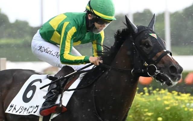 【毎日王冠見どころ】年長馬に立ち向かうサトノシャイニング