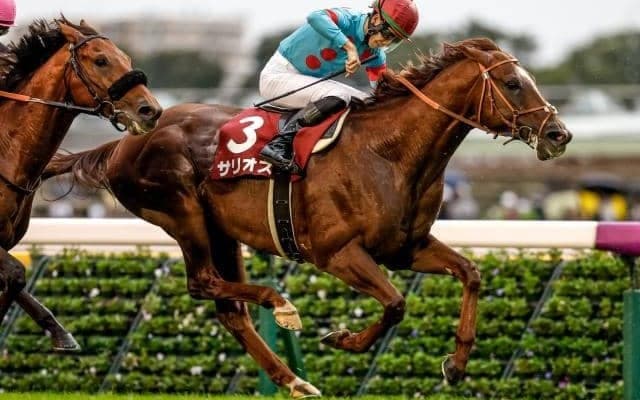 毎日王冠の勝ち時計ランキング 1位は鮮やかな手綱捌き光った勝利