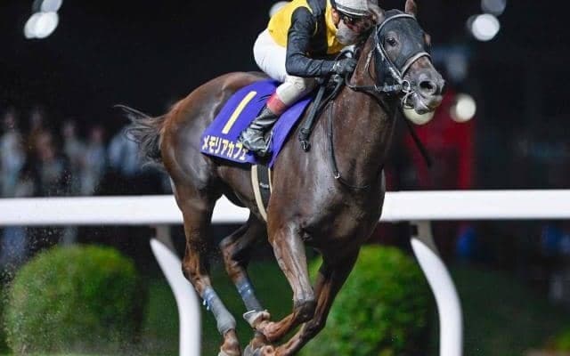 【船橋・マリーンC枠順】関東オークス覇者メモリアカフェは1枠1番