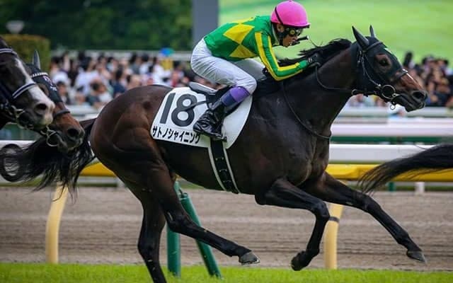 【毎日王冠想定騎手】サトノシャイニングは武豊騎手、ホウオウビスケッツは岩田康誠騎手