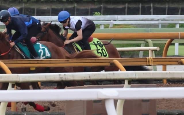 半兄にJpnI馬ライトウォーリアがいる血統 ガーネットフレアが土曜京都で初陣/関西馬メイクデビュー情報