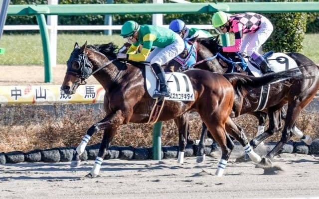 【先週のJRA抹消馬】ダート短距離6勝のスズカコテキタイ、今年の阪神大賞典2着のマコトヴェリーキーなど