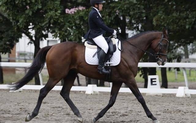 ノーザンホースパークで第8回「引退競走馬杯」が開催 スワーヴアラミスなど多くの元競走馬が活躍見せる