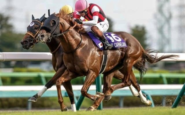 先週末の重賞を血統背景から深堀り ウインカーネリアンはニックスといえる配合構成