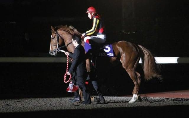 前哨戦を制し凱旋門賞に挑んだ馬たち ゴール寸前での差し返しに涙したオルフェーヴル