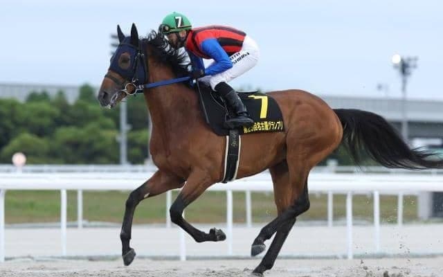 【金沢・白山大賞典注目馬】当地唯一のダートグレード競走 地元の名手がシンメデージーとビッグタイトルをつかむか