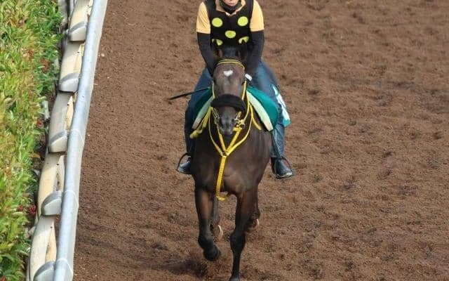 サマリーズの2023(ウェンロック)など、先週のゲート試験/栗東トレセンニュース