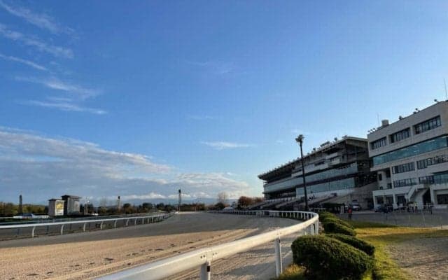 【白山大賞典】ジャスパーロブストが悠々逃げ切る…中9日で出走、重賞初制覇