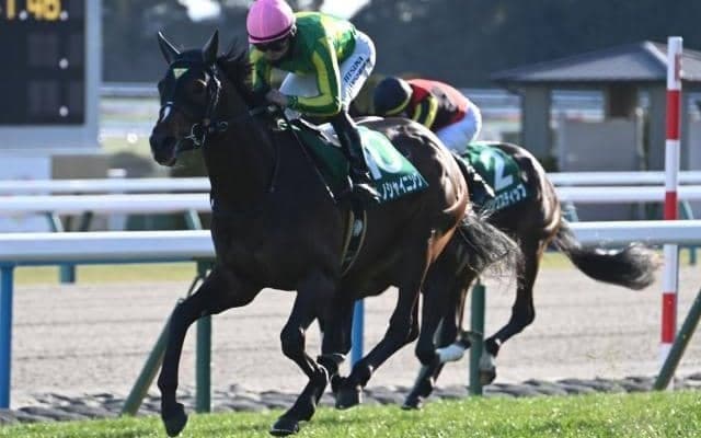 【毎日王冠予想オッズ】サトノシャイニングが予想1番人気